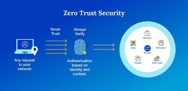 Zero Trust Network Access (ZTNA)-1